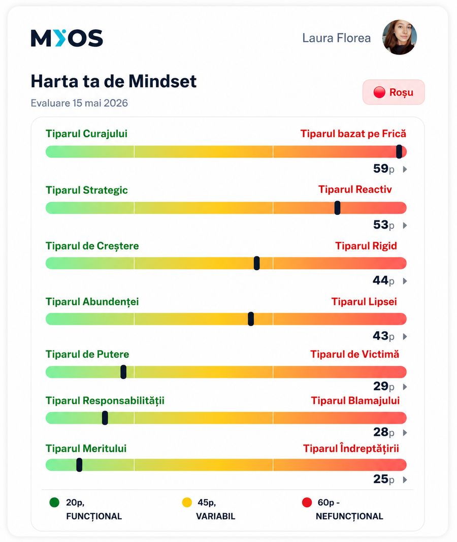Harta ta de Mindset
